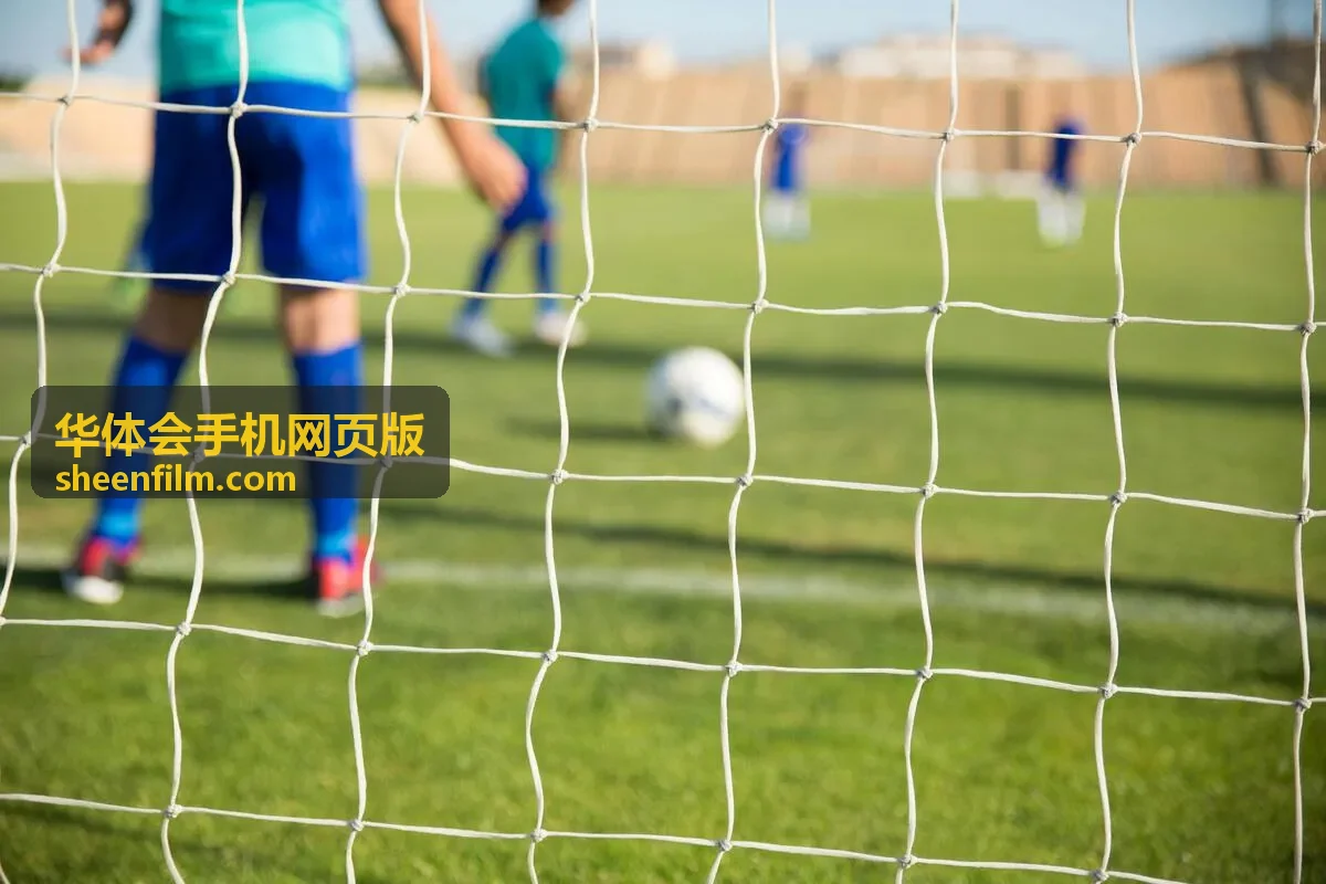 华体会手机网页版手机观赛设置配图