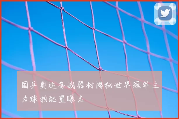 国乒奥运备战器材揭秘世界冠军主力球拍配置曝光