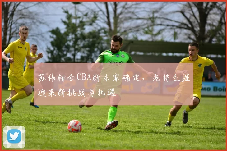 苏伟转会CBA新东家确定，老将生涯迎来新挑战与机遇