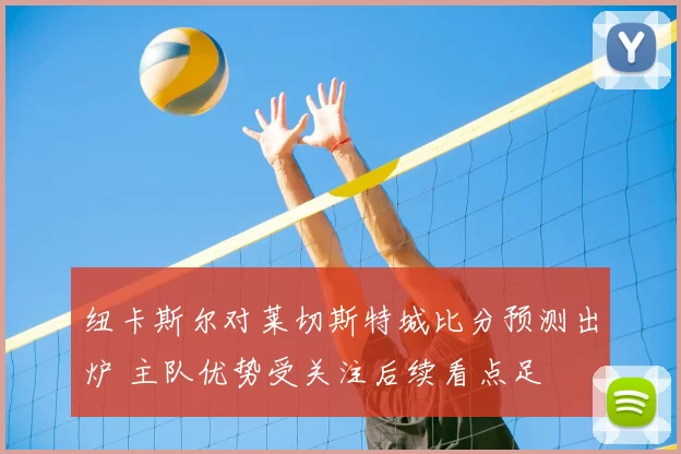 纽卡斯尔对莱切斯特城比分预测出炉 主队优势受关注后续看点足