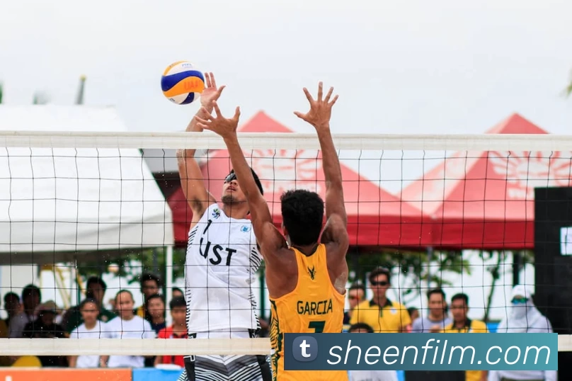 星空电竞官网入口服务体系