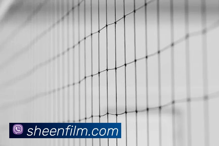 星空电竞官网入口APP 体育赛事宣传图